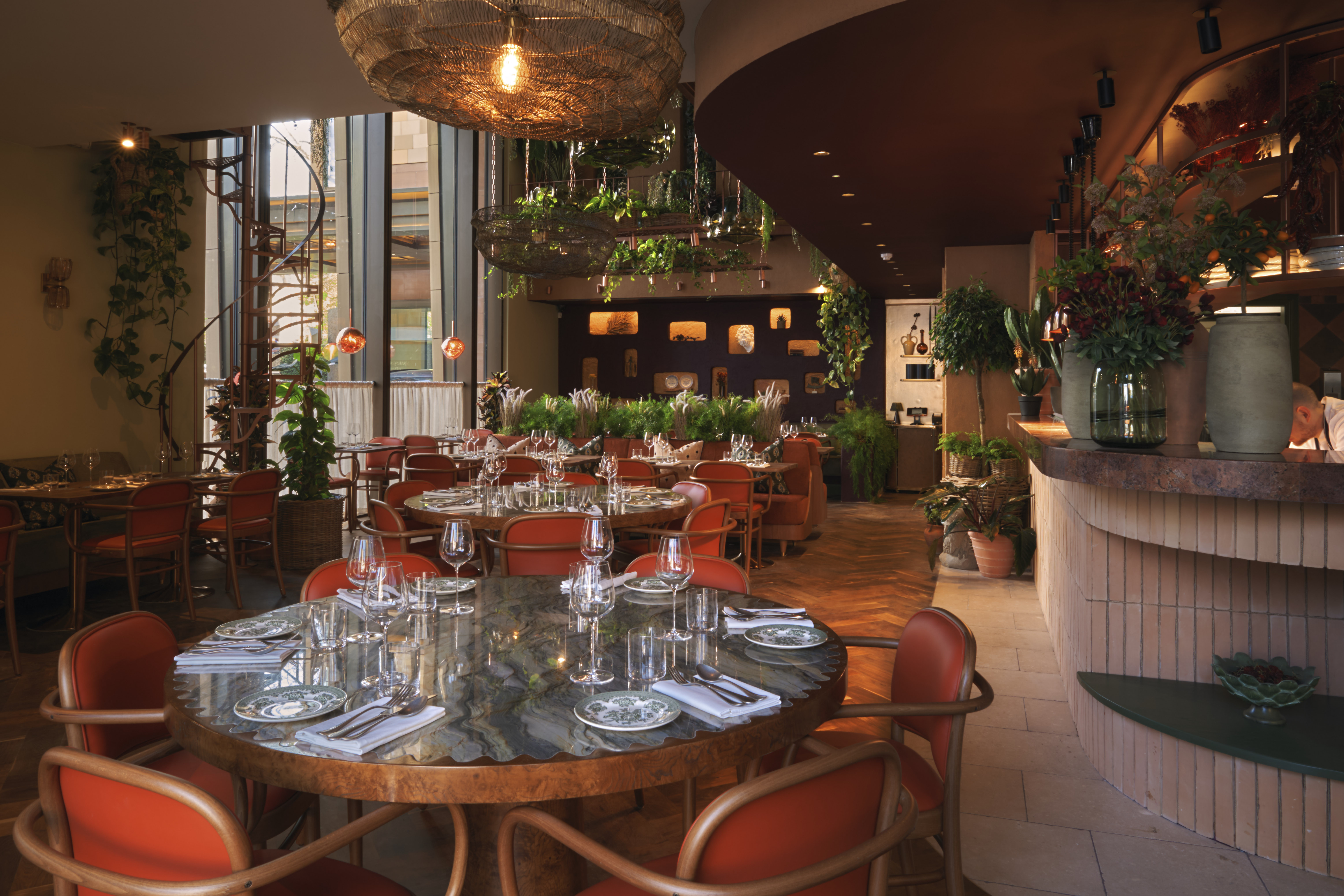 Interior of Clio restaurant with warm lighting, terracotta chairs and hanging plants