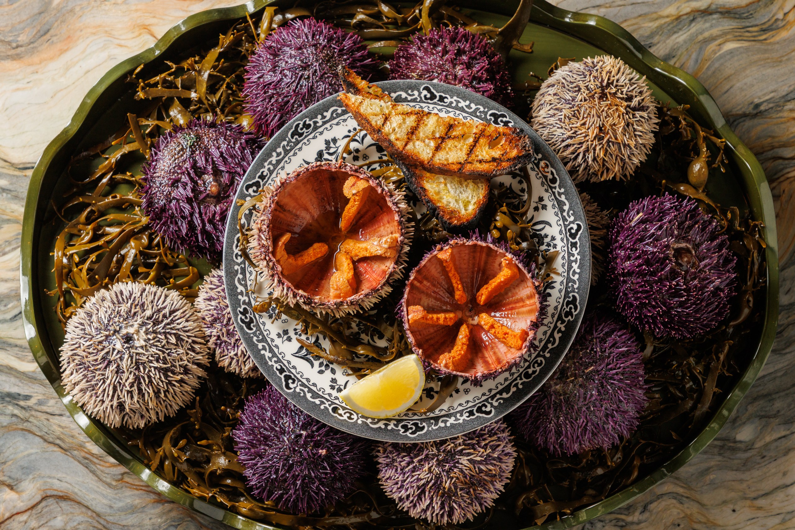 Sea urchin platter with seaweed on marble